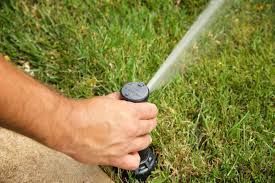 Hand watering a lawn with a black garden hose nozzle spraying water onto green grass