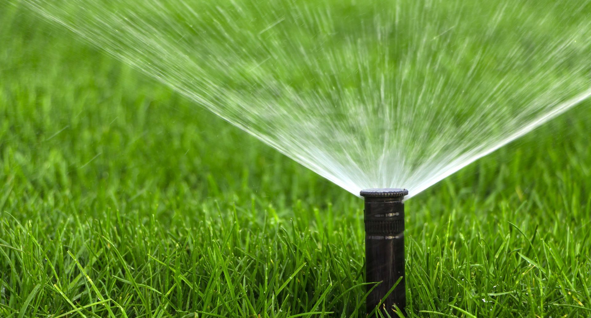 Sprinkler spraying water over green grass in a lawn
