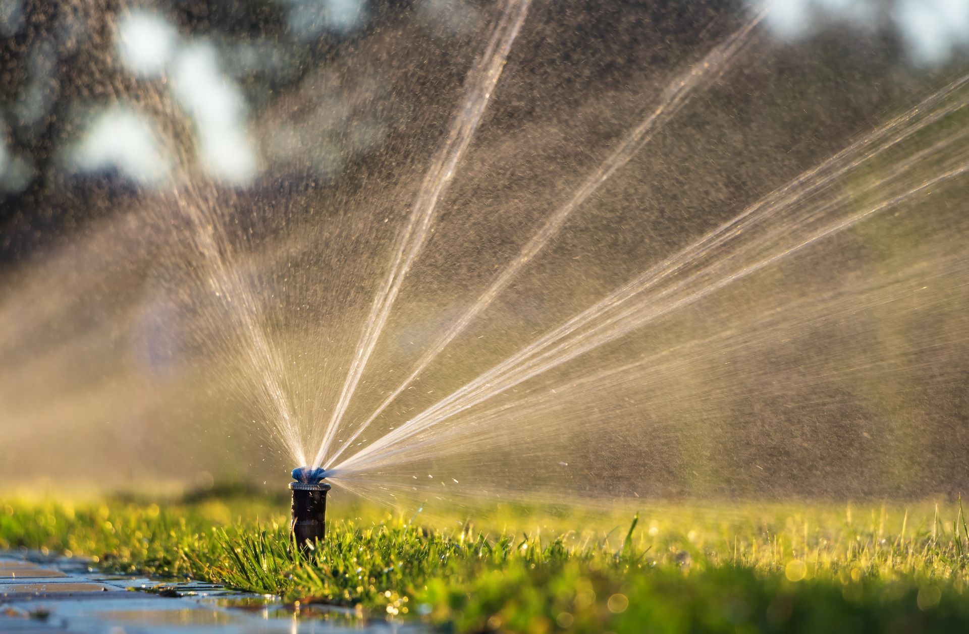Sprinkler watering a sunlit lawn, spraying water across green grass at dusk