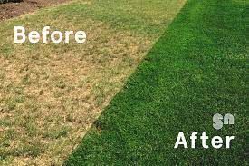 Lawn comparison showing dry, patchy grass labeled “Before” and lush green grass labeled “After”