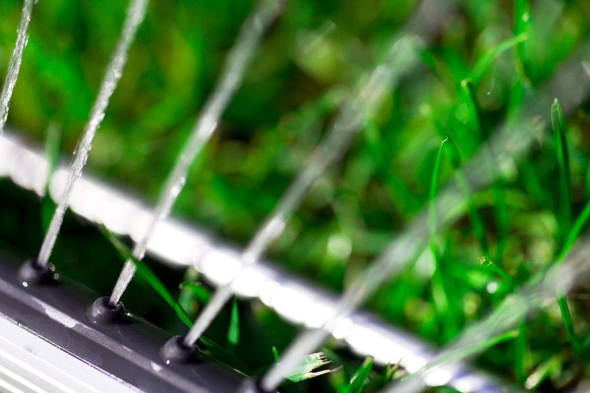 Close-up of a bicycle wheel with silver spokes against a blurred green grassy background