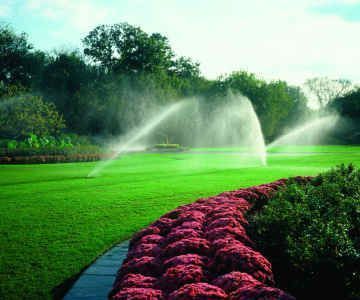 Curved flower bed beside a green lawn with sprinklers spraying water in a park