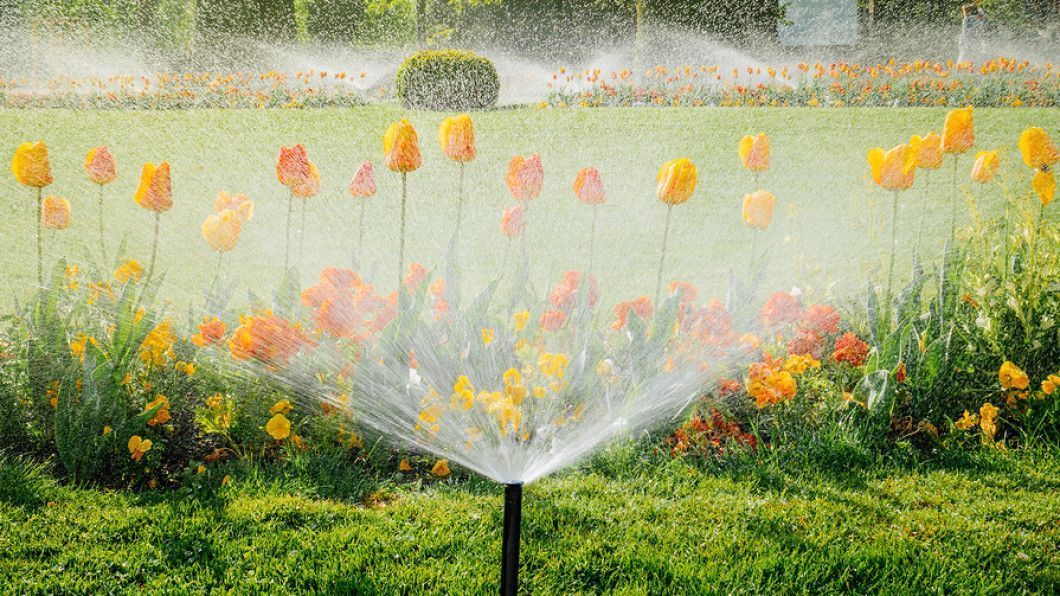 Garden sprinkler watering colorful flowers in a sunny green lawn