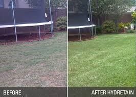 Before-and-after lawn comparison: brown grass on left, greener grass after Hydretain on right.