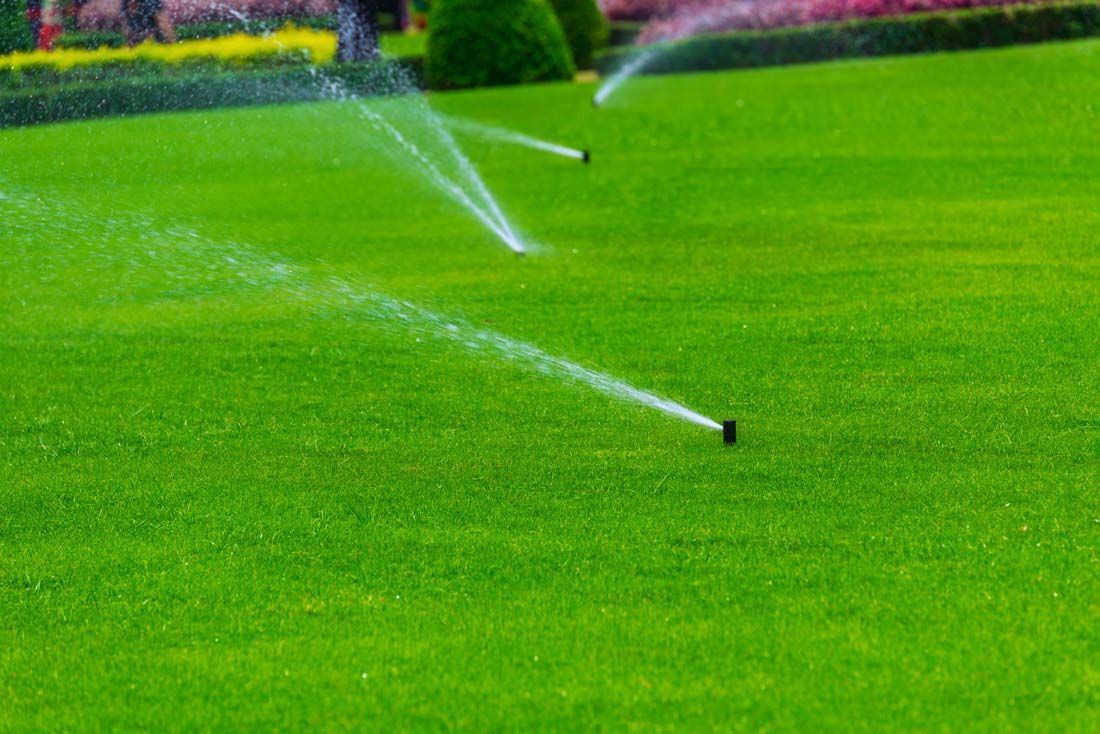 Two lawn sprinklers watering a bright green lawn in a park