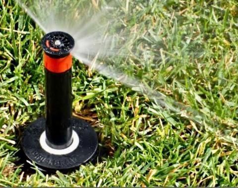 Black lawn sprinkler spraying water on green grass