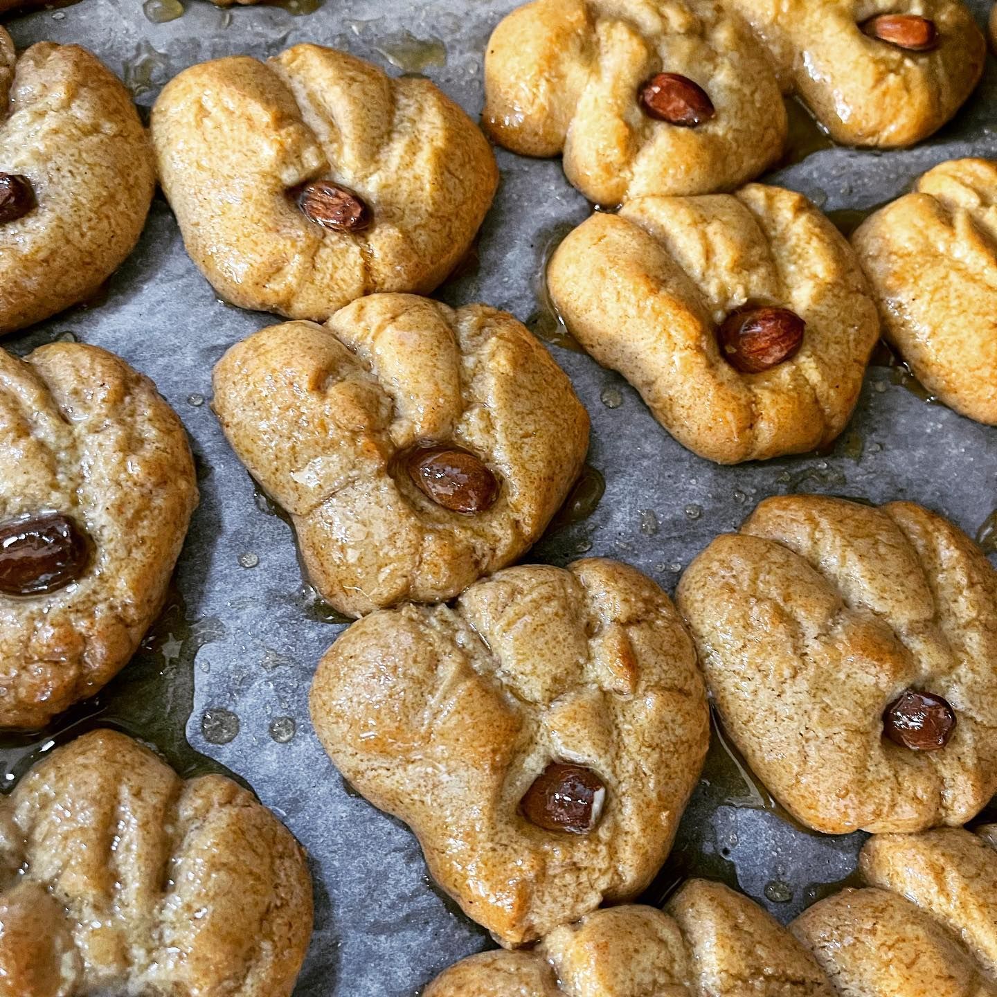 TERRADUNCI PANIFICIO 13