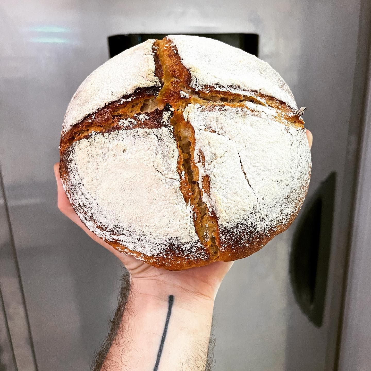 panificio terradunci 8