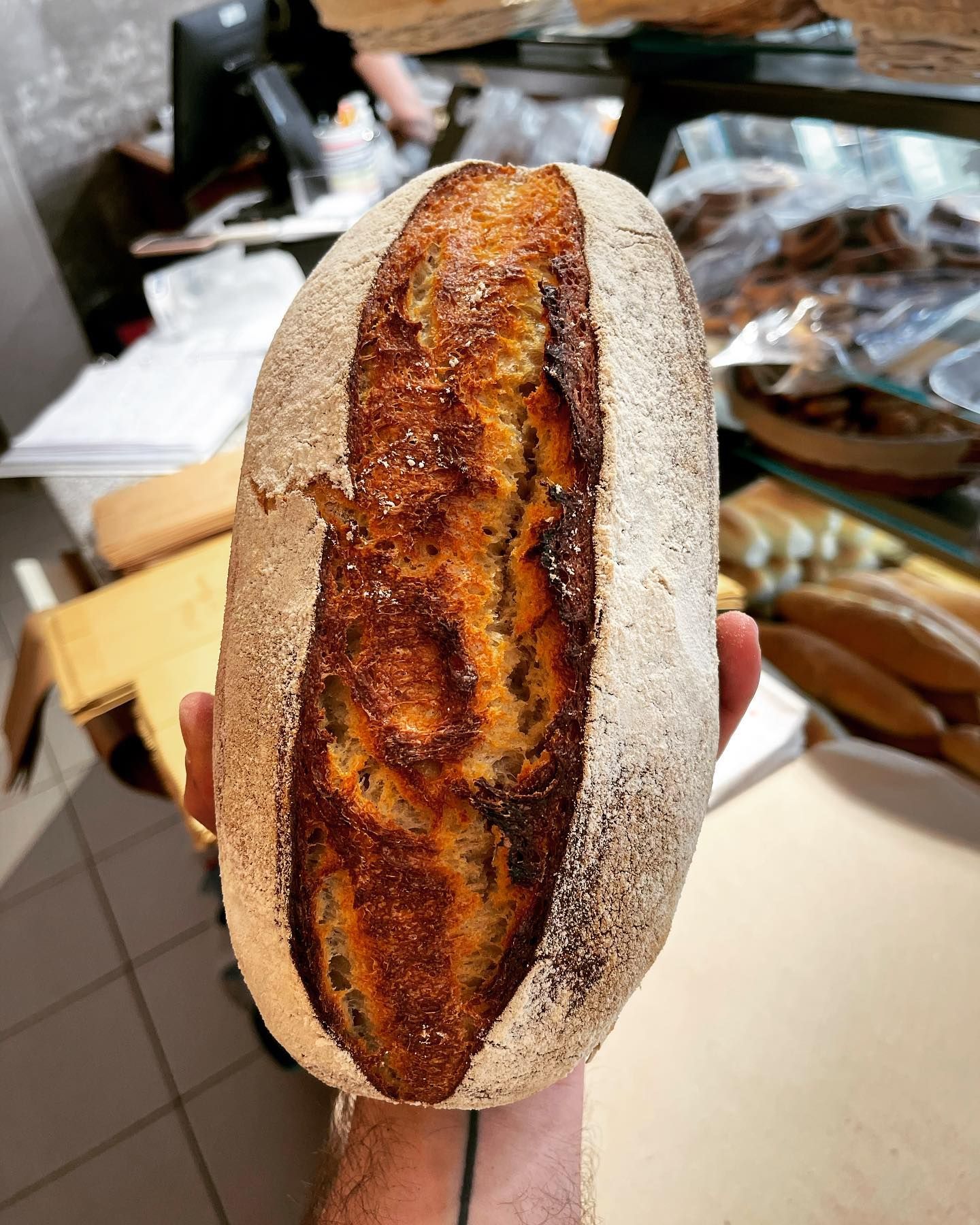 TERRADUNCI PANIFICIO 24