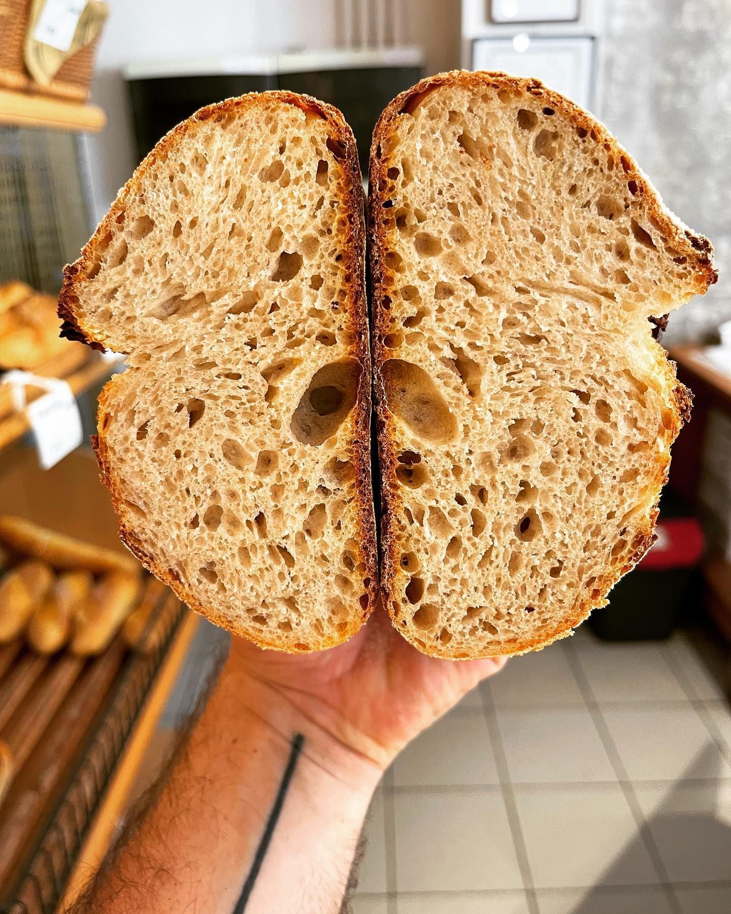 panificio terradunci 10