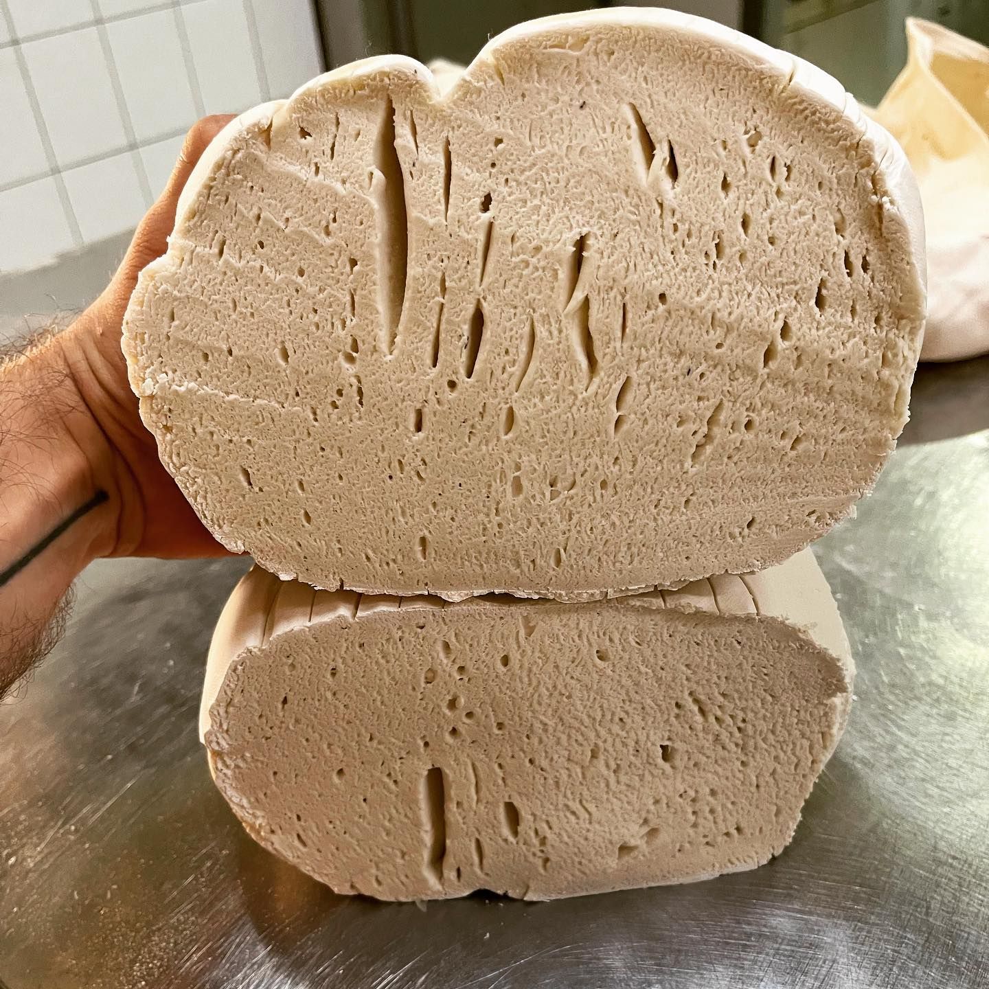 panificio terradunci 9