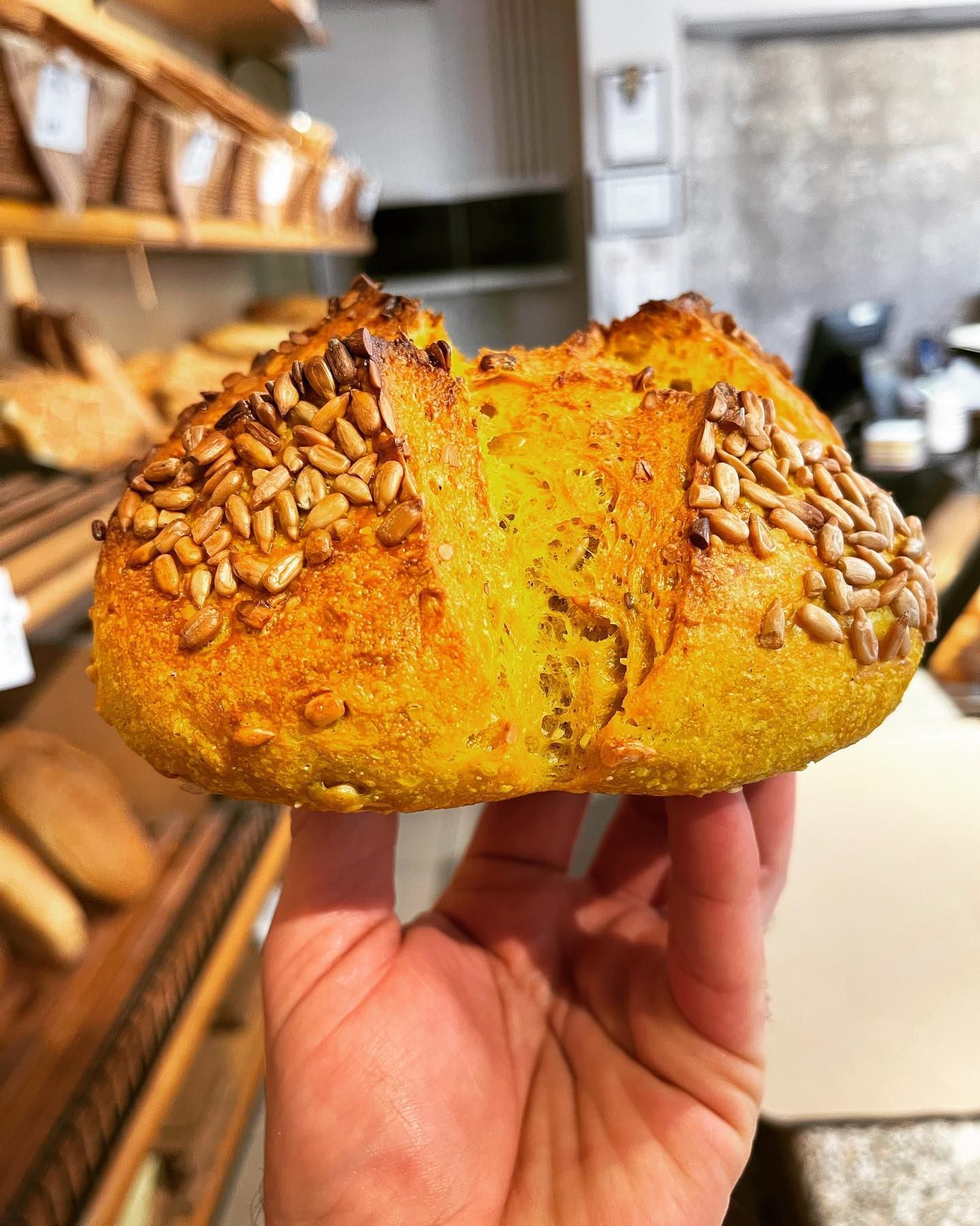 panificio terradunci 4