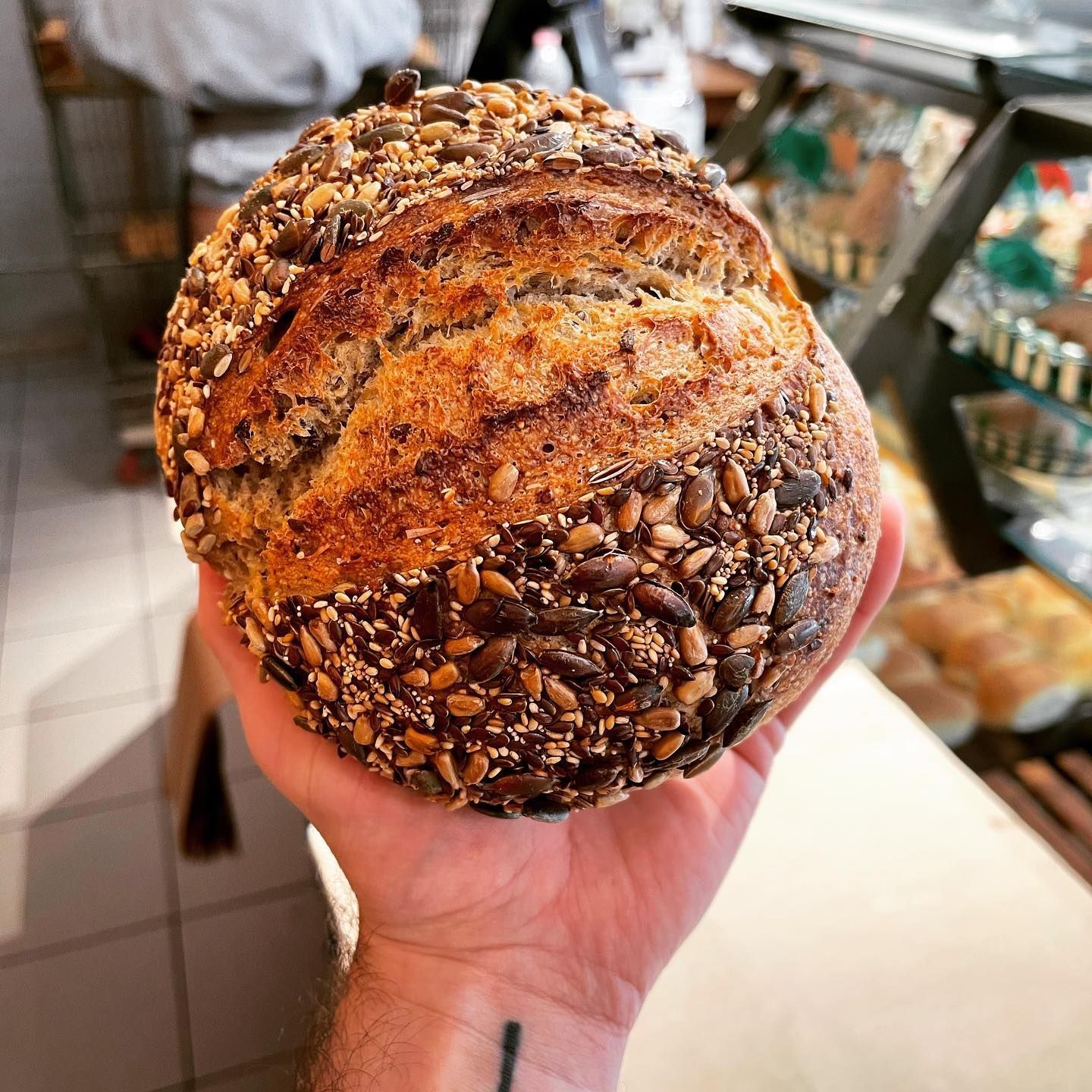 panificio terradunci