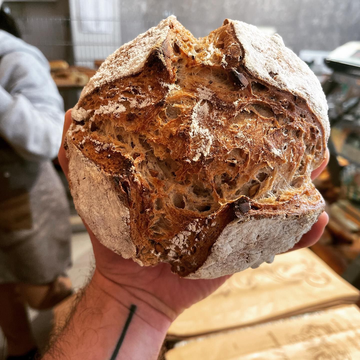 panificio terradunci 11