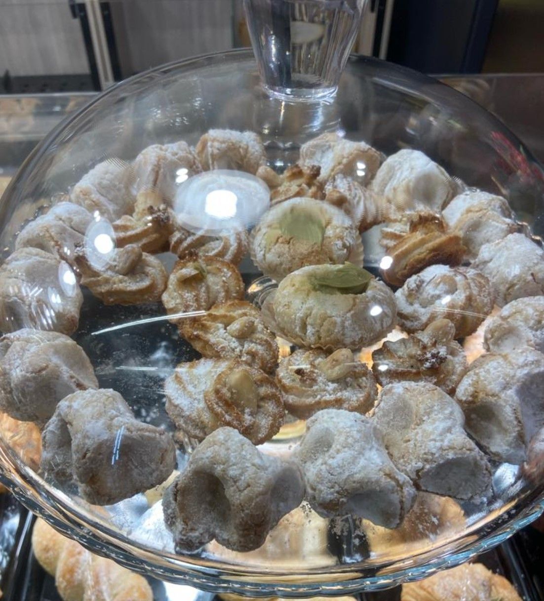 TERRADUNCI PANIFICIO 17