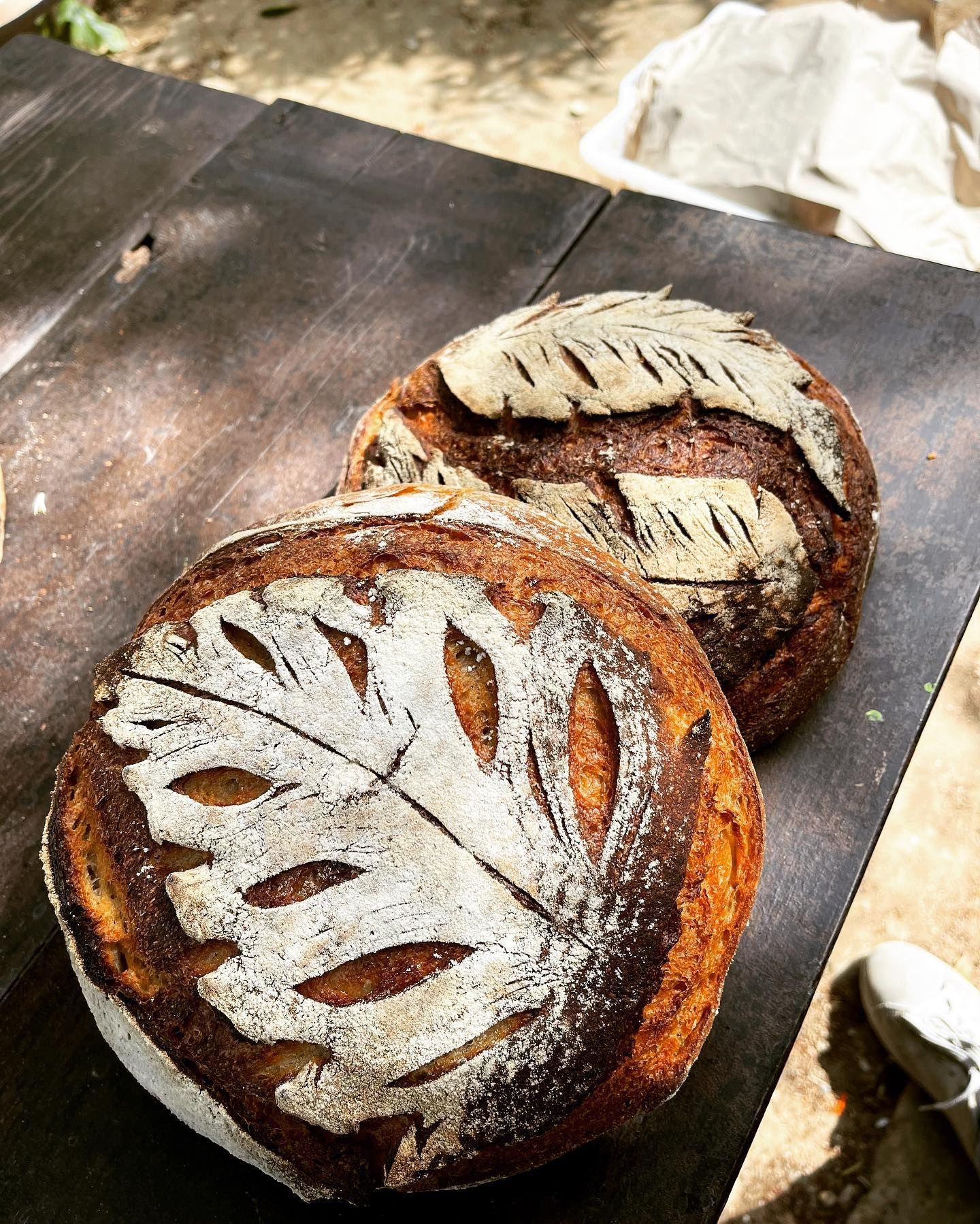 panificio terradunci 7