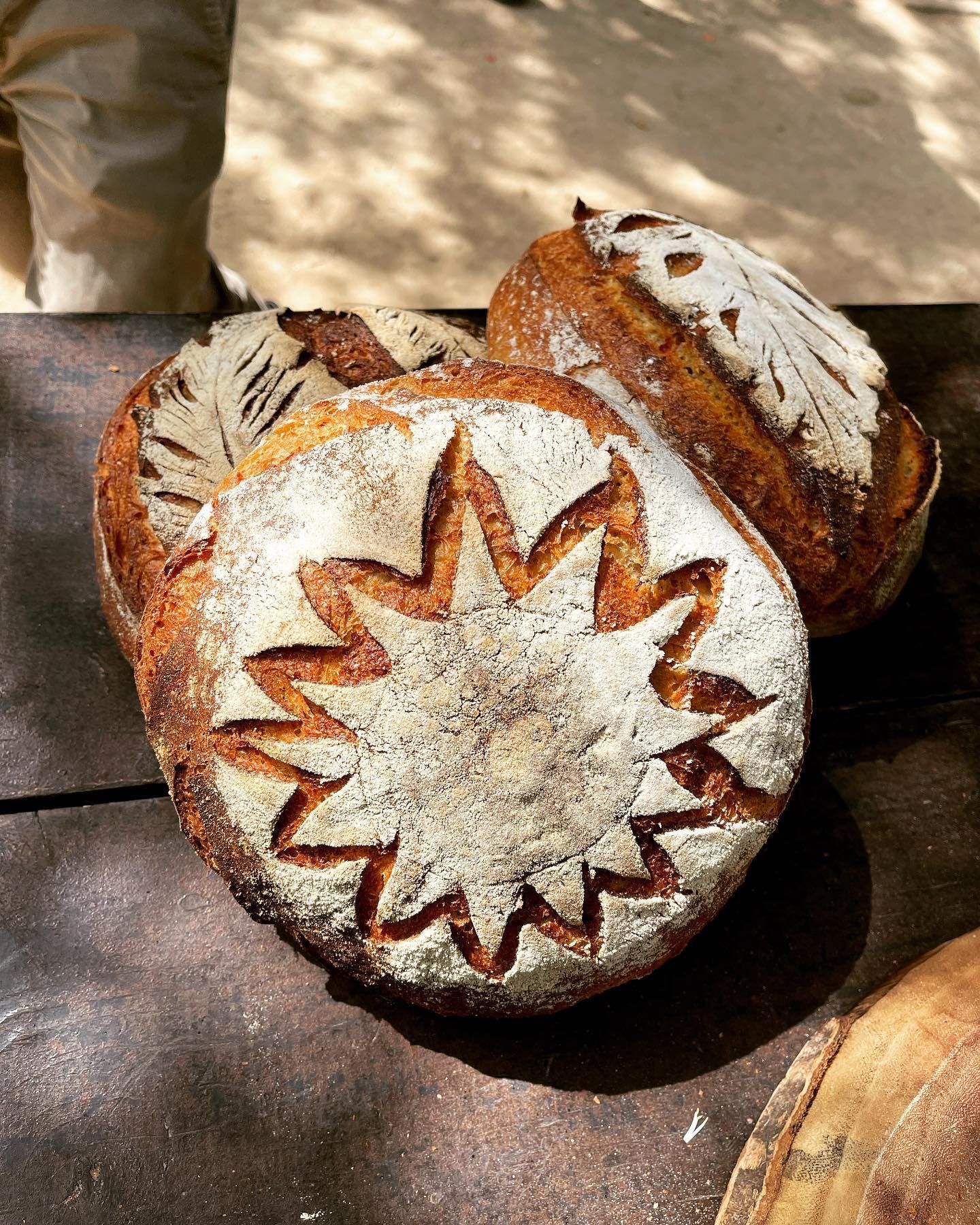 panificio terradunci 6