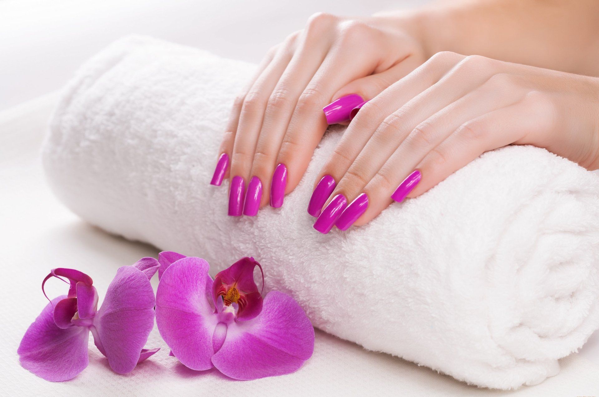 Manicure Services at Nail Envy Spa, St. Louis MO
