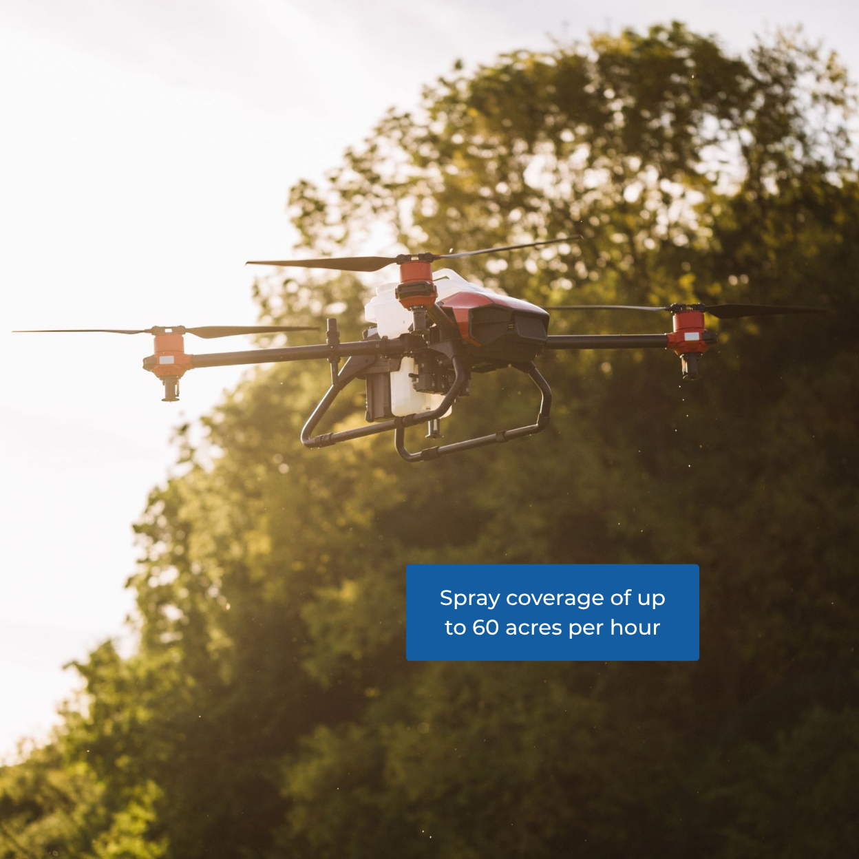 spray drone