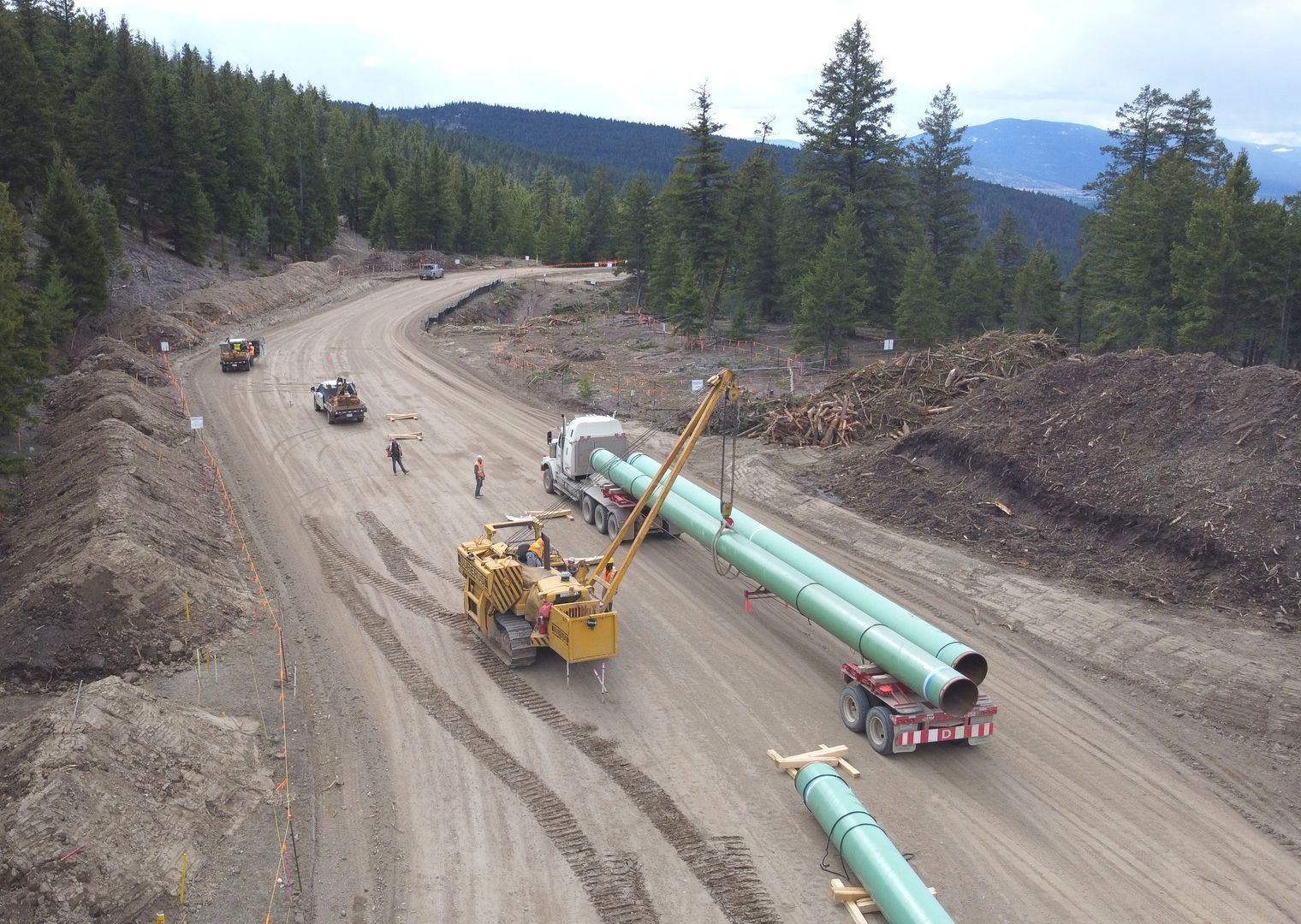 A row of pipelines going through a forest.