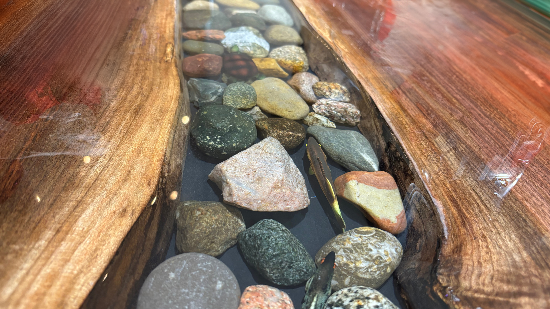A live edge wooden table with rocks and fish in it that looks like a river.