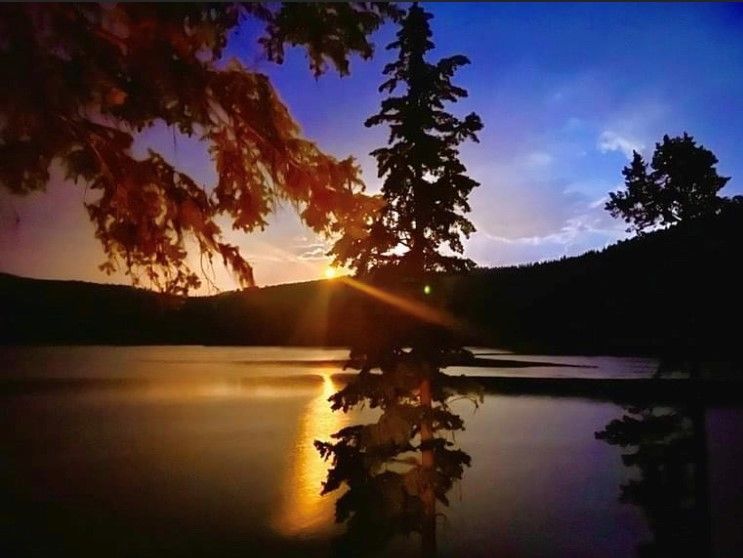 The sun is setting over a lake with trees in the foreground
