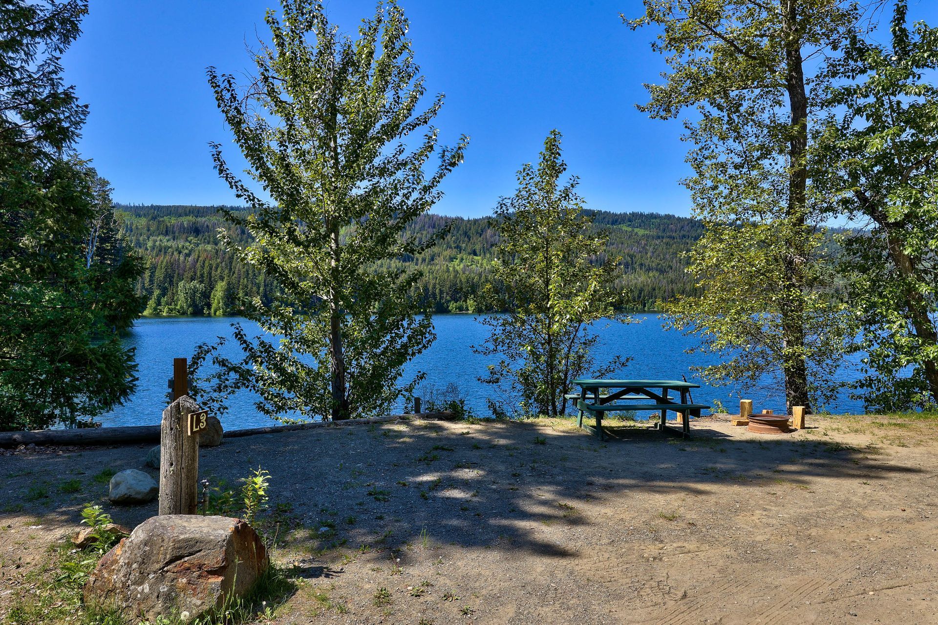 A picnic table is sitting on the shore of a lake surrounded by trees.