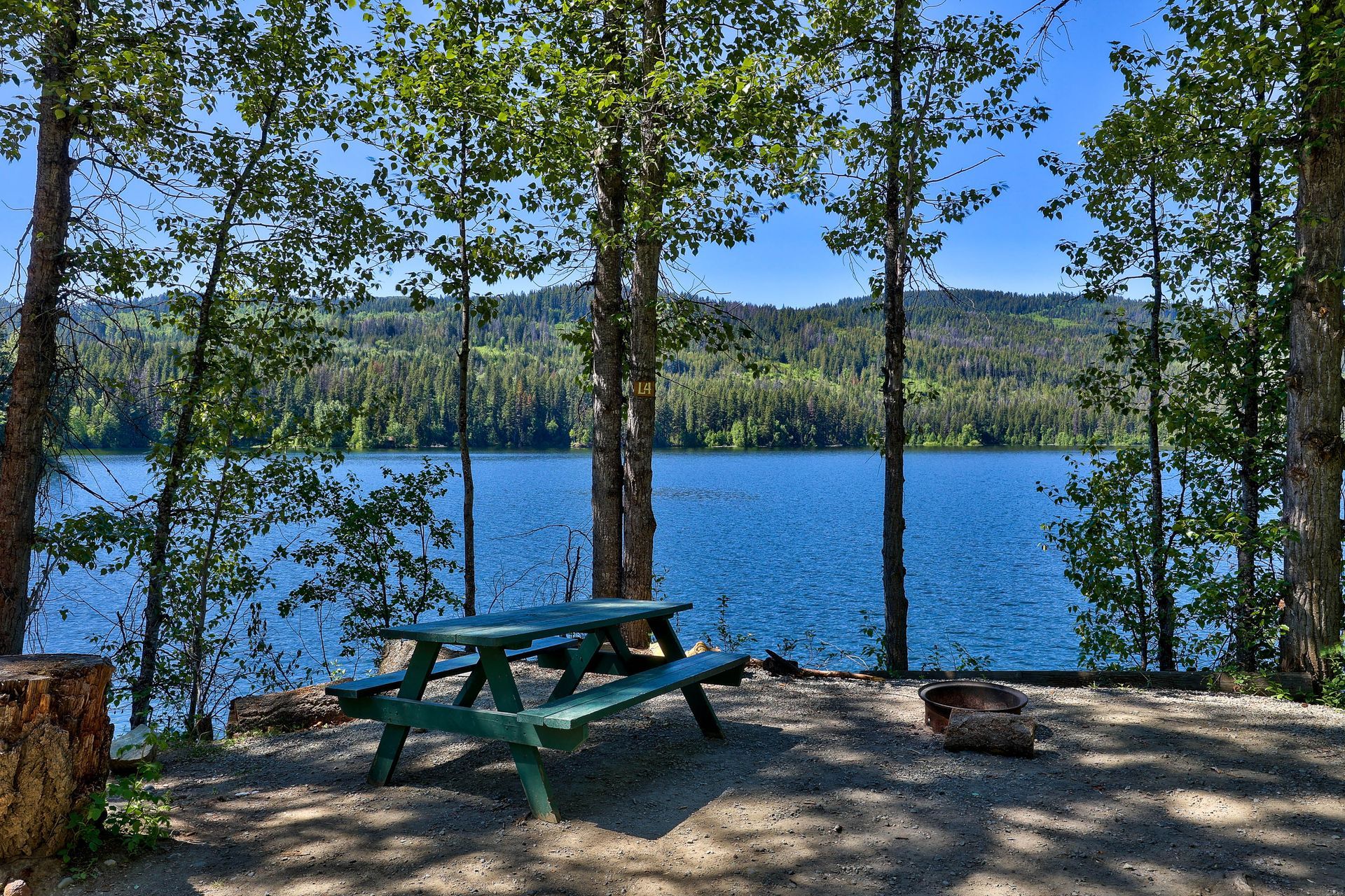 A picnic table is sitting on the shore of a lake surrounded by trees.