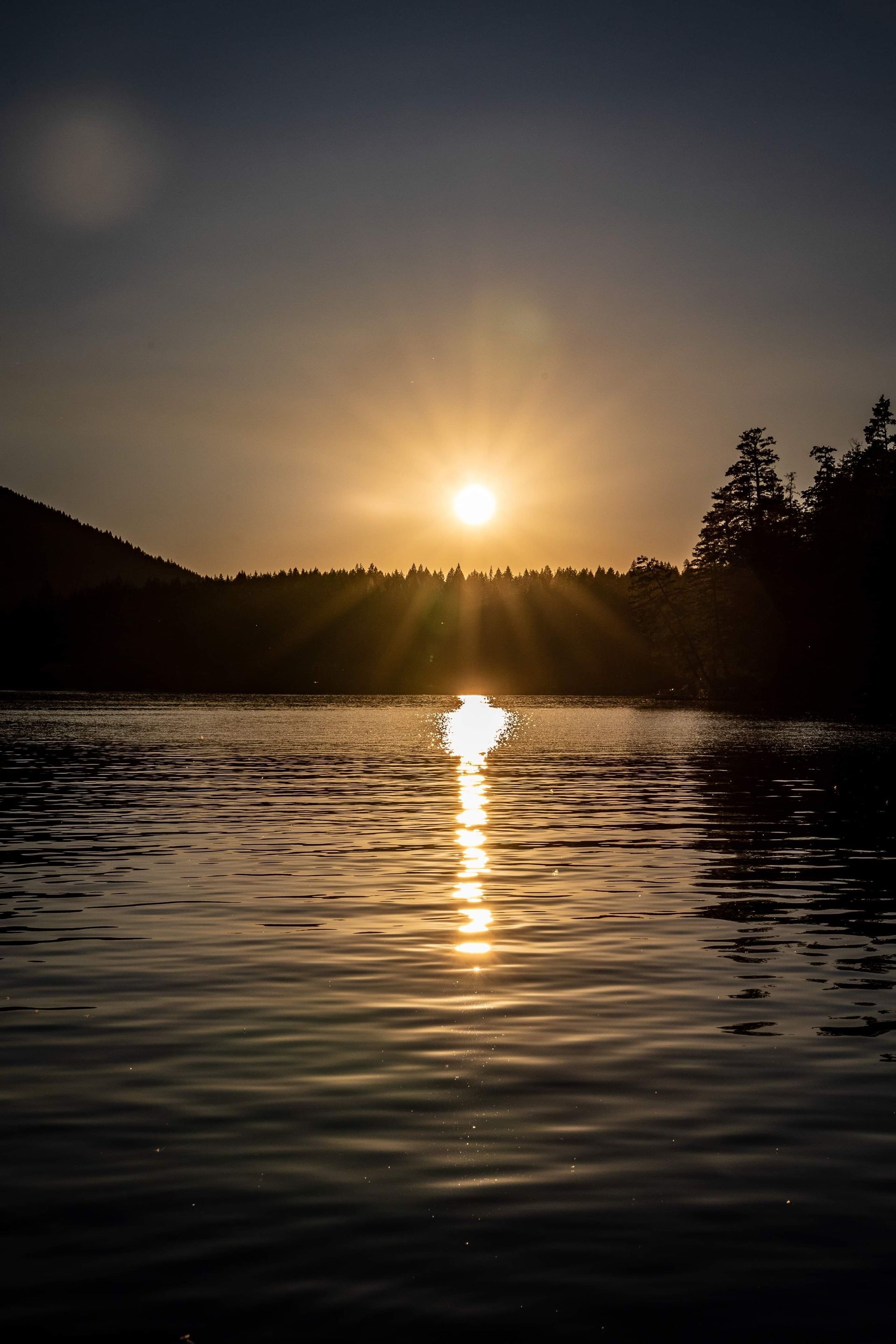 The sun is setting over a lake with trees in the background.