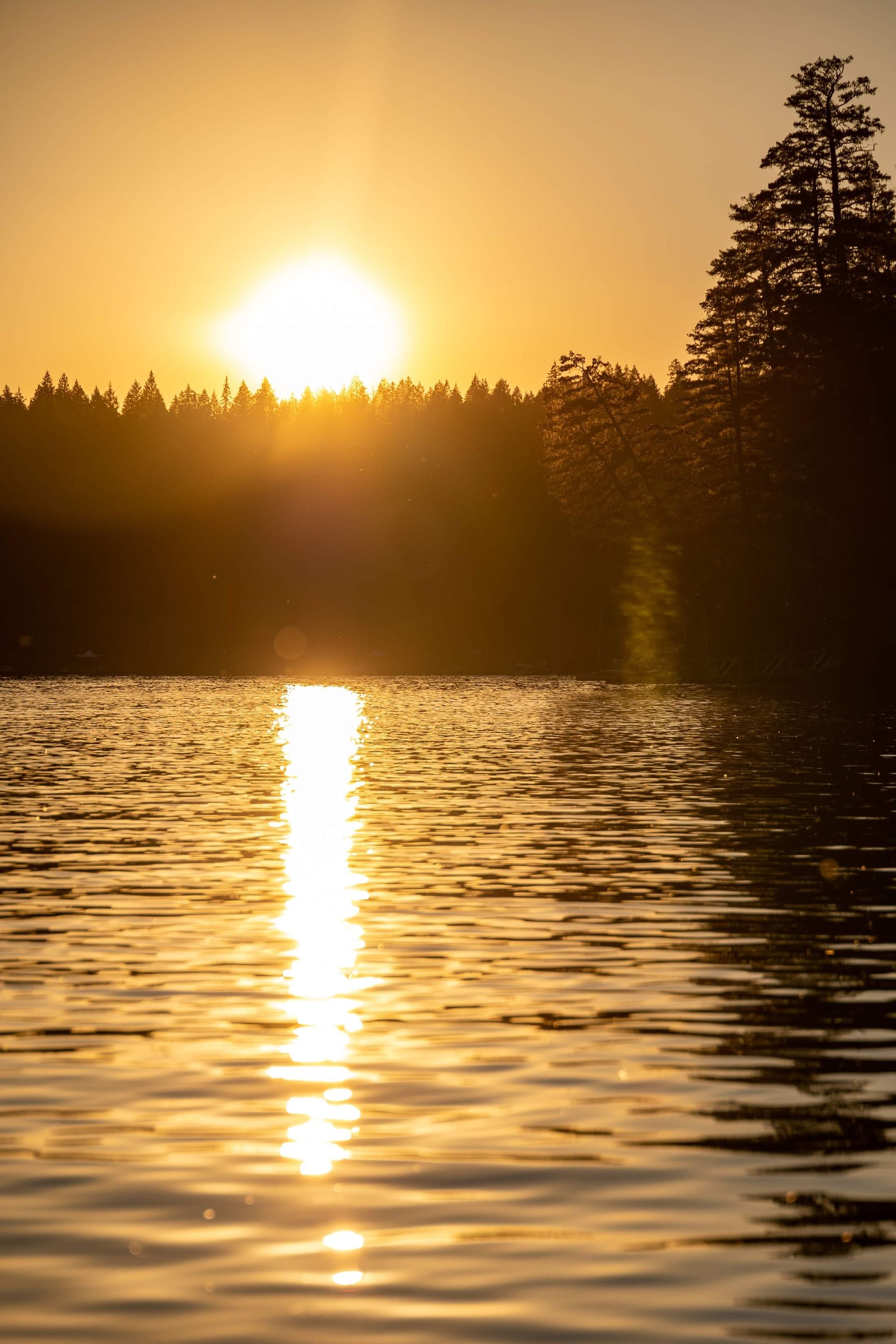 The sun is setting over a lake with trees in the background.