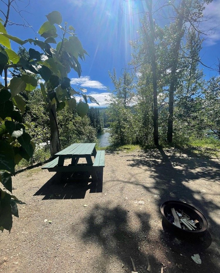A picnic table is sitting in the middle of a forest next to a river.