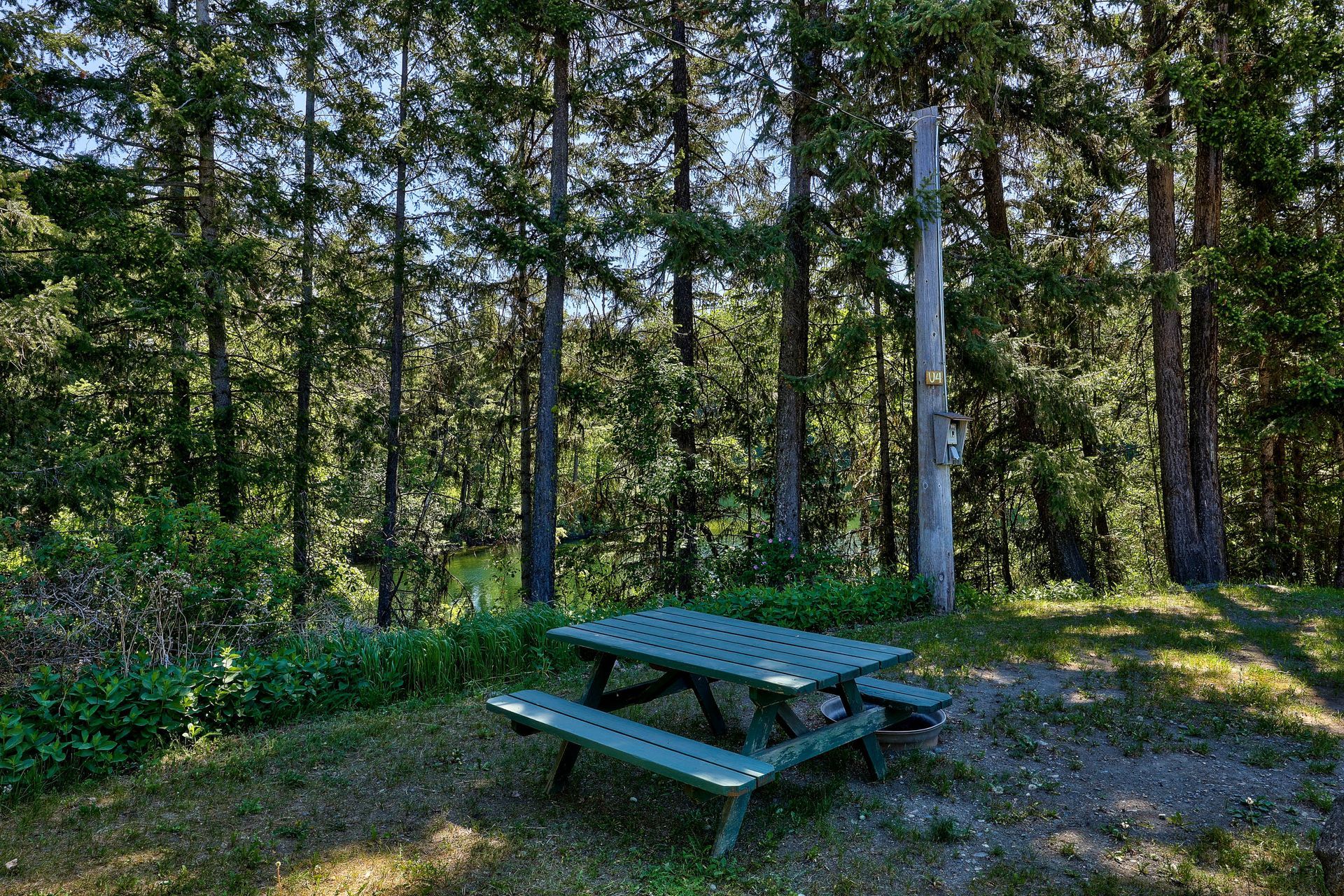 A picnic table is sitting in the middle of a forest.