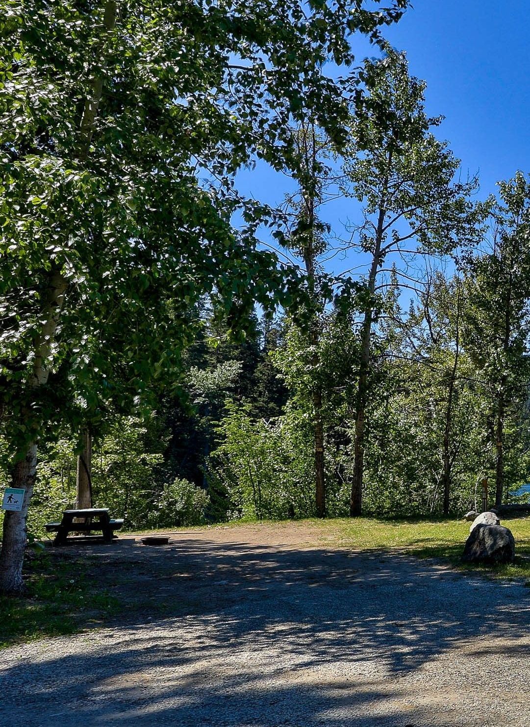There is a picnic table in the middle of the forest.