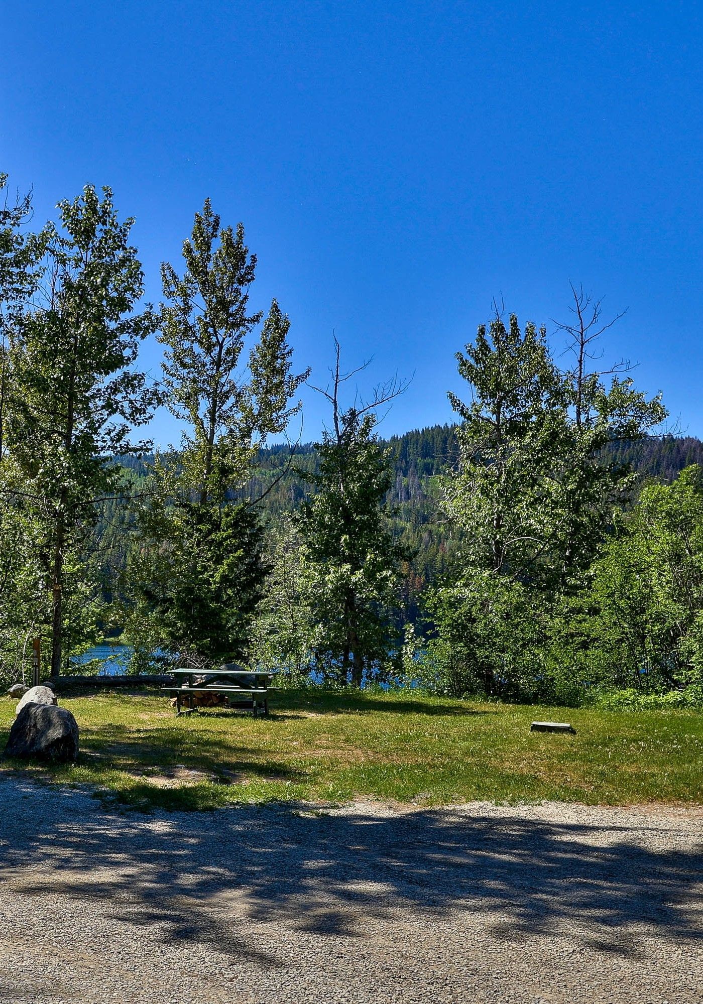 There is a lake in the background and trees in the foreground.