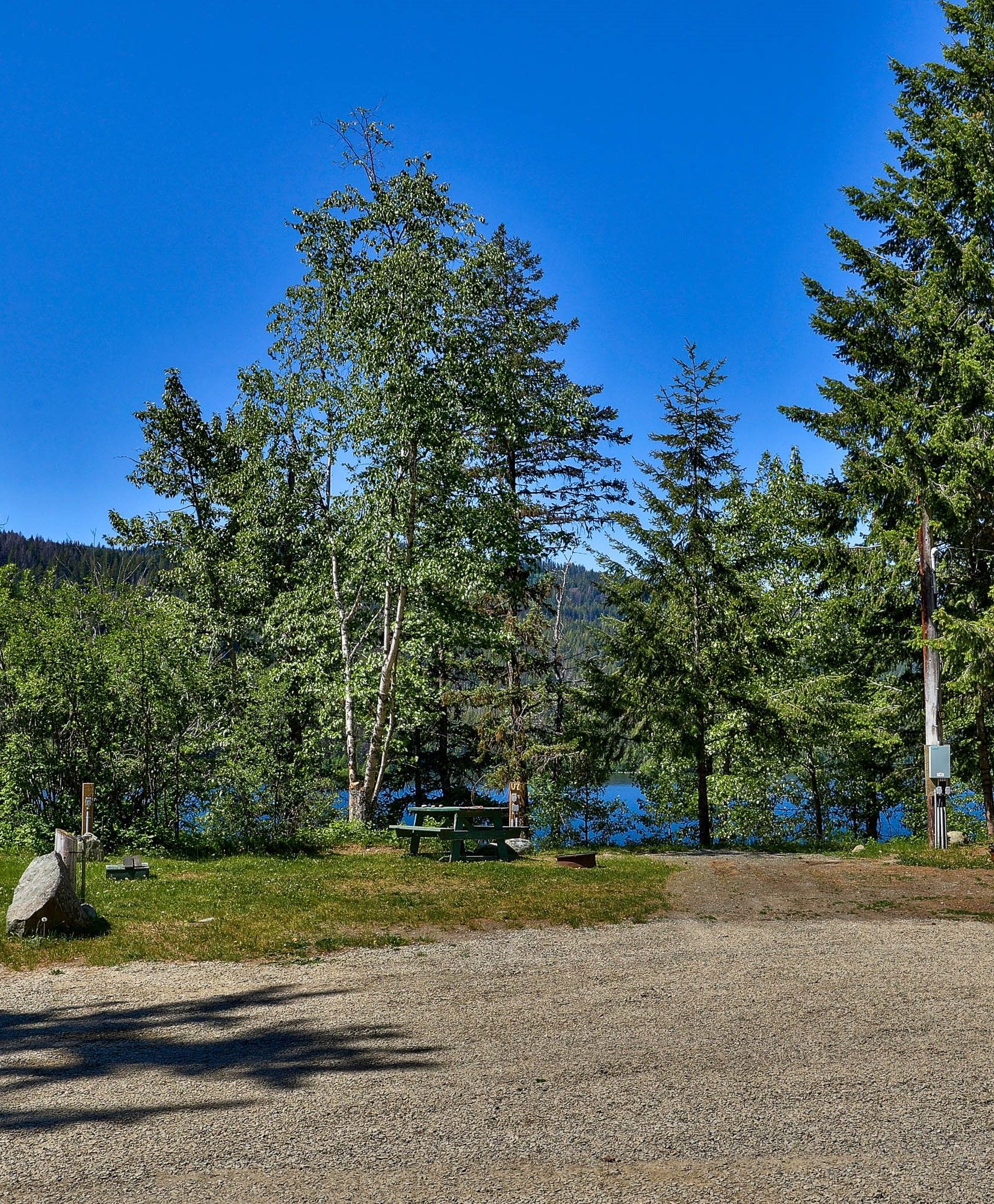 There is a picnic table in the middle of the woods near a lake.