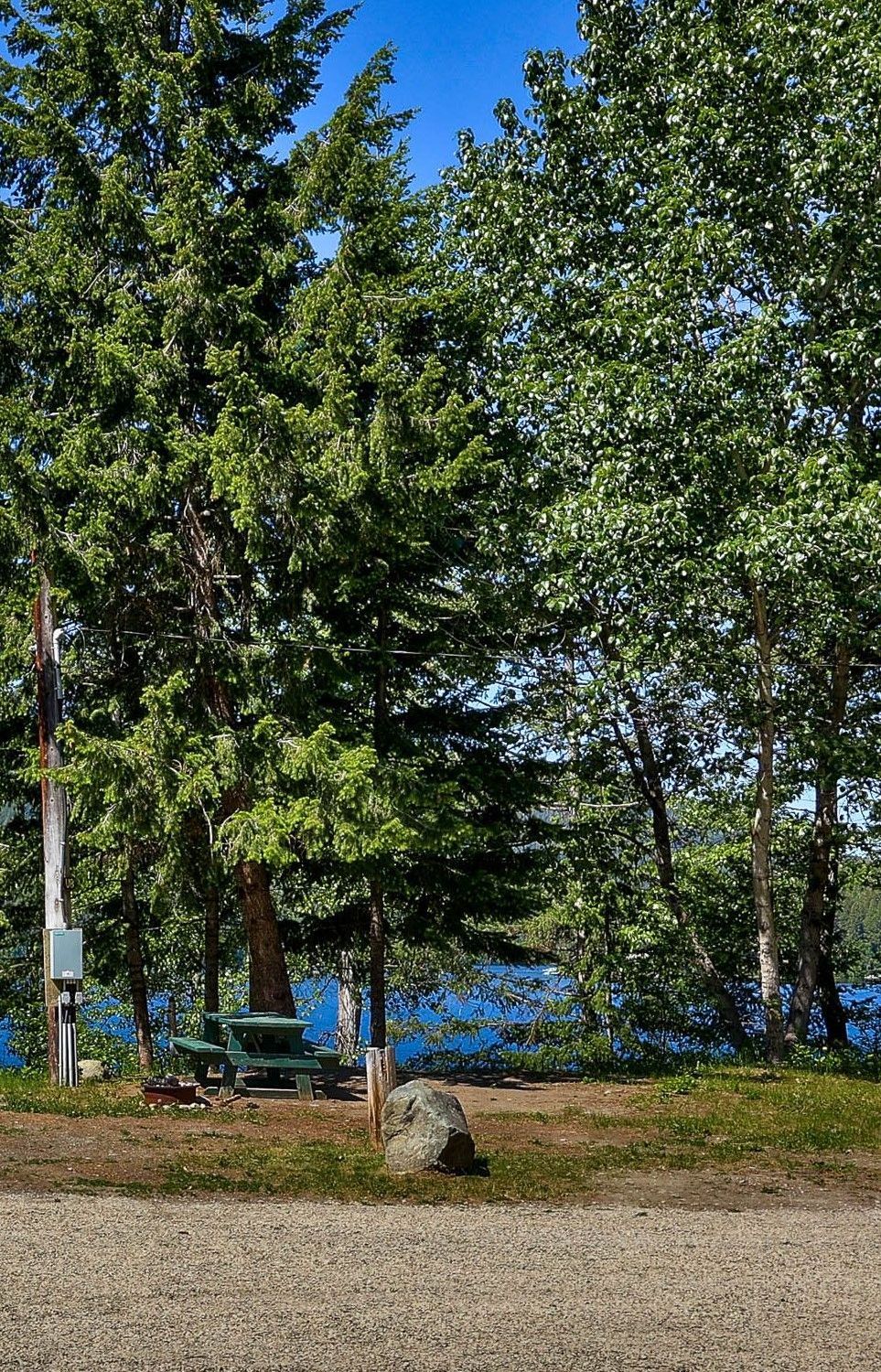 A picnic table is sitting in the middle of a forest next to a lake.