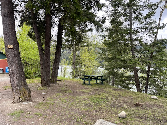 A picnic table is surrounded by trees near a lake.