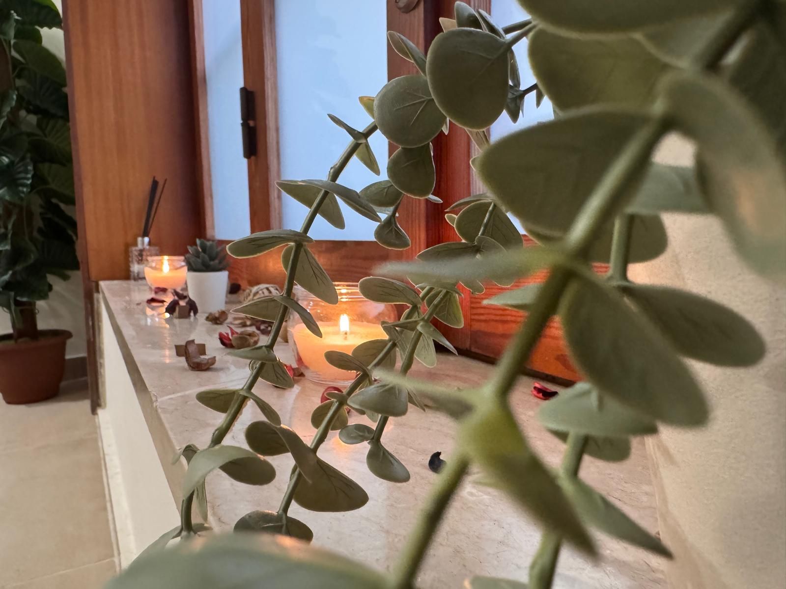 Una pianta è appoggiata sul davanzale di una finestra accanto alle candele.
