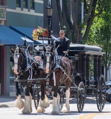 A man is riding a horse drawn carriage down a street