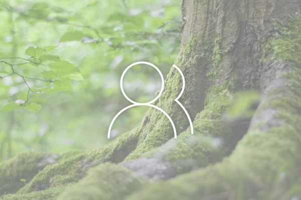 About EverGreene Pet Cremations