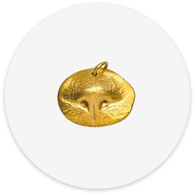 Gold Metal Nose Print