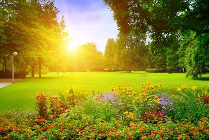Park with Beautiful Flowerbeds — Fairfield, CA — J S L Landscaping & Maintenance Inc.