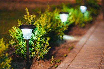 Lanterns in Flowerbed — Fairfield, CA — J S L Landscaping & Maintenance Inc.