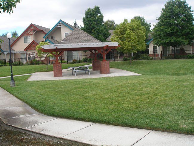 Green Lawn and Walkway — Fairfield, CA — J S L Landscaping & Maintenance Inc.