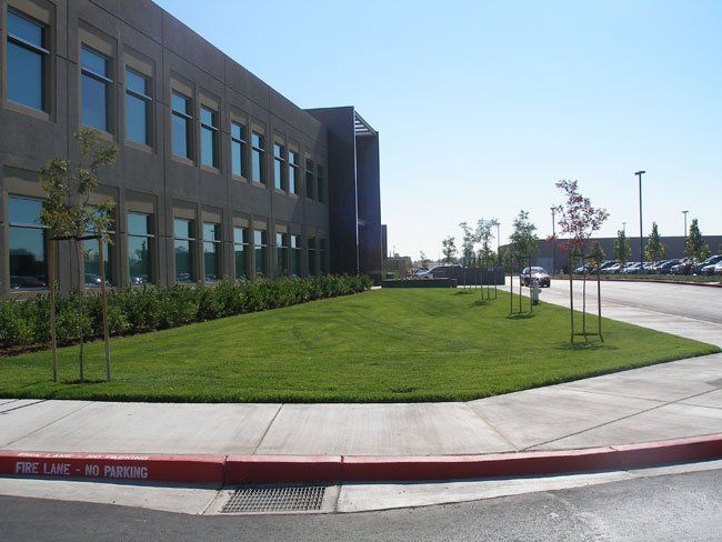 Artificial Lawn — Fairfield, CA — J S L Landscaping & Maintenance Inc.