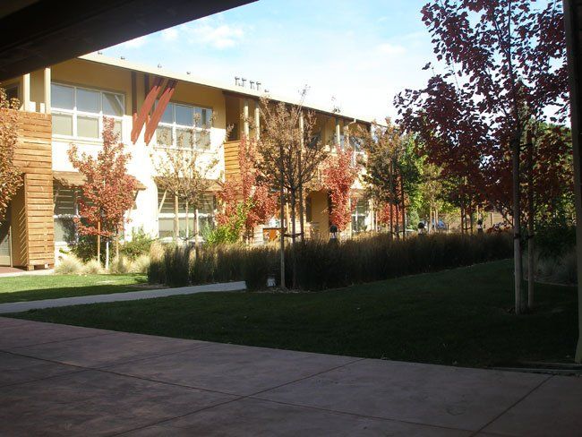Grass and Trees Near the Building — Fairfield, CA — J S L Landscaping & Maintenance Inc.