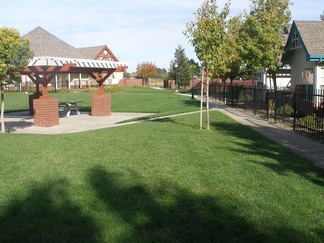 Green Grass — Fairfield, CA — J S L Landscaping & Maintenance Inc.