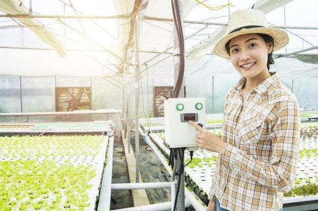 Sociedade em Conta Participação Agro Negócio