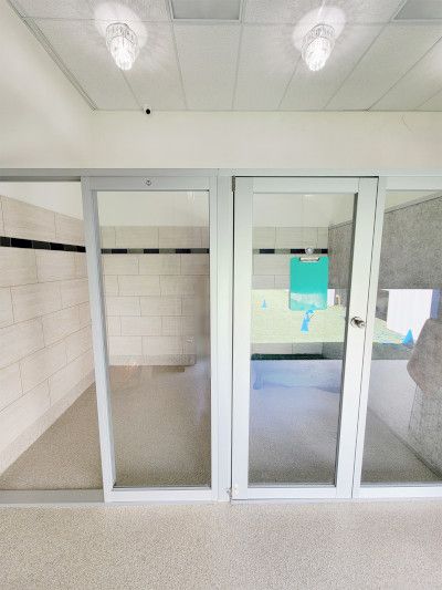 Dog boarding area