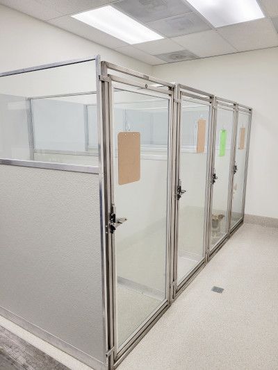 Dog Boarding Area